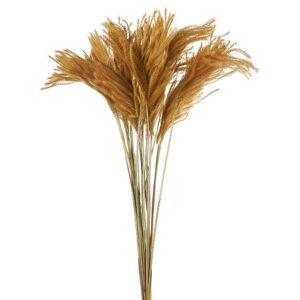 ΑΠΟΞΗΡΑΜΕΝΗ MELIC GRASS ΡΤ161